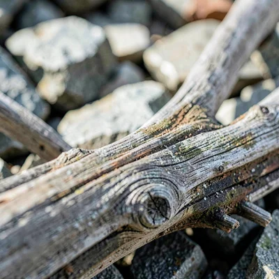 weathered driftwood macro, grain texture