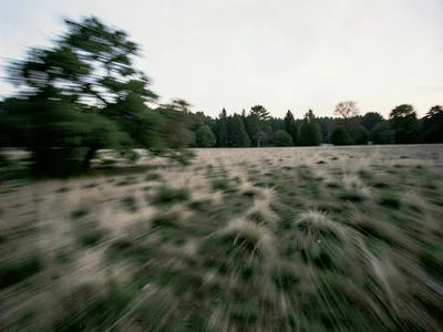 Tree line blur suggesting wind movement