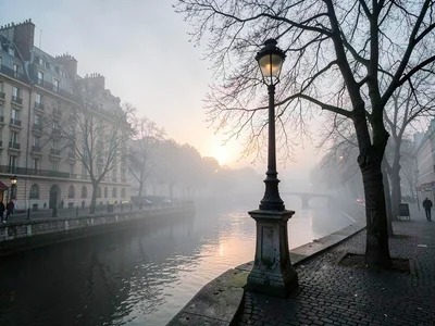 Lamp post and tree as fog companions