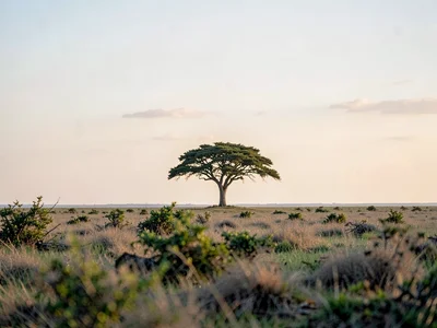 Lone tree on horizon