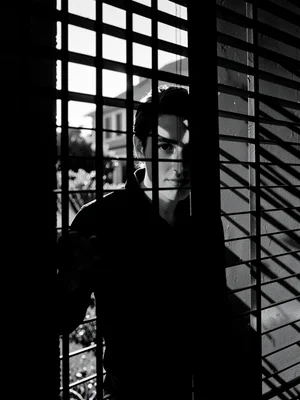 Neighbor peering through fence slats, face half-hidden in shadow, surveillance a