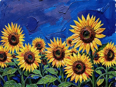 Sunflower field under blue sky
