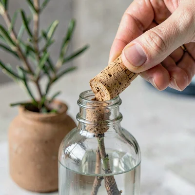 Macro of a hand-cut cork pulled halfway out of a shrub bottle, mineral-cool pale