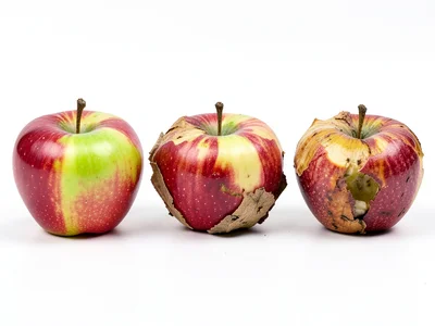 Apple in five stages of decay arranged left to right, fresh to dried, same light