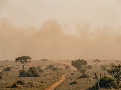 Dust front advancing as visible wall across landscape