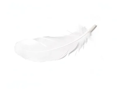 White feather minimal placement