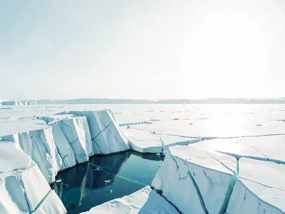 Faint distant horizon dissolves where sea ice meets sky in pale white-on-white, 