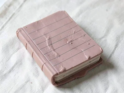 Lined dusty-rose ledger book with a slumped binding and fingernail-pressed pages