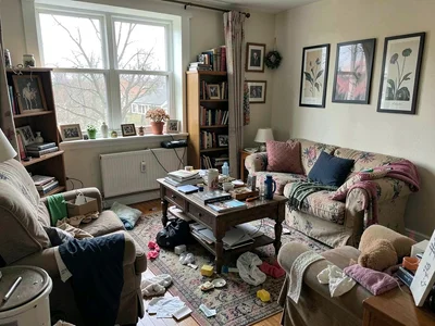 Hoarder living room