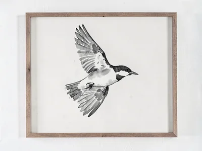 Bird in flight as single element in empty frame