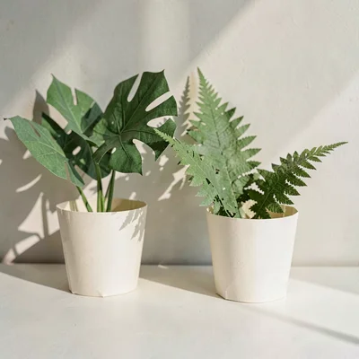 Zoom-background of a folded-paper plant corner — paper monstera and paper fern i