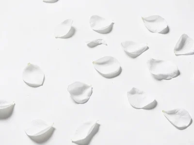 White petals fallen minimal