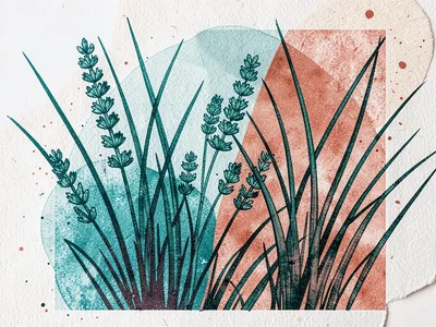 A coastal plant study with sea lavender and grass in teal and terracotta