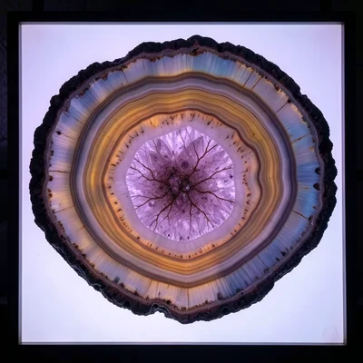 Thunder egg cross-section, rough volcanic exterior surrounding a hidden cavity o
