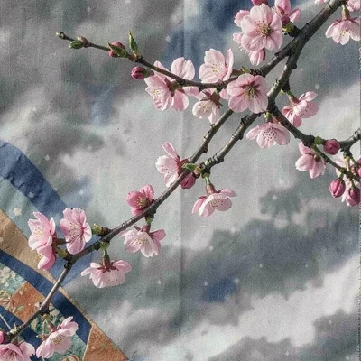 Haruki Shimizu