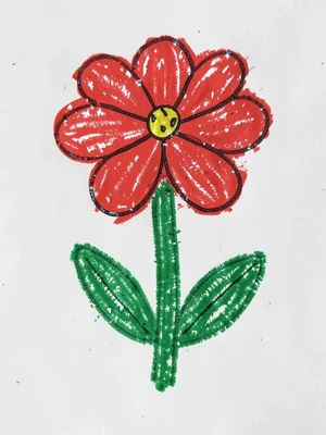 Red flower with green stem