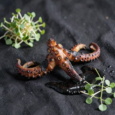 Whole charred octopus tentacle ring on dark linen with a smear of dark squid-ink