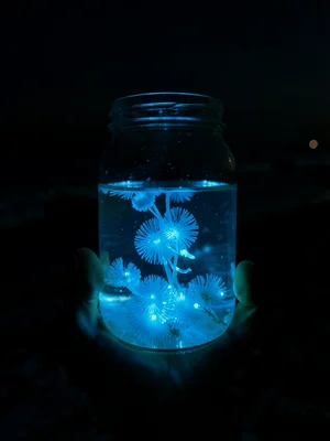 Bioluminescent plankton in a glass jar — glowing blue liquid in a sealed jar hel